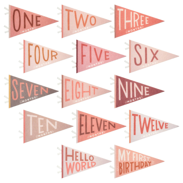 Blushing Meadow Petit Milestone Pennant