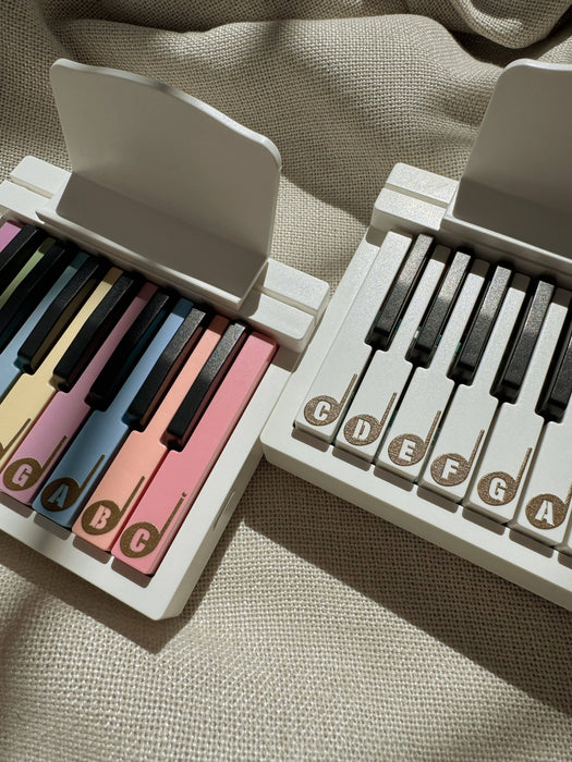 Beginner Piano Kids Piano Toy Instrument