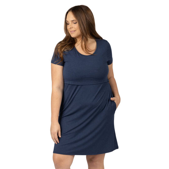Kindred Bravely Eleanora Bamboo Maternity & Nursing Dress