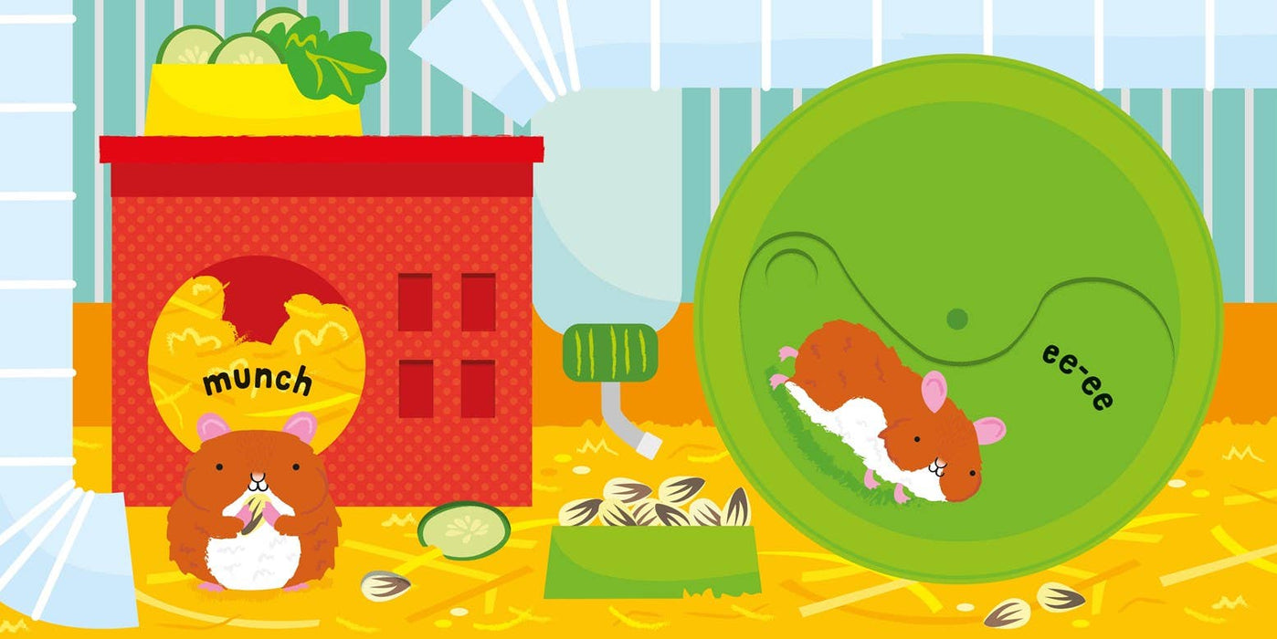 Slide And See Pets: Fiona Watt & Stella Baggott