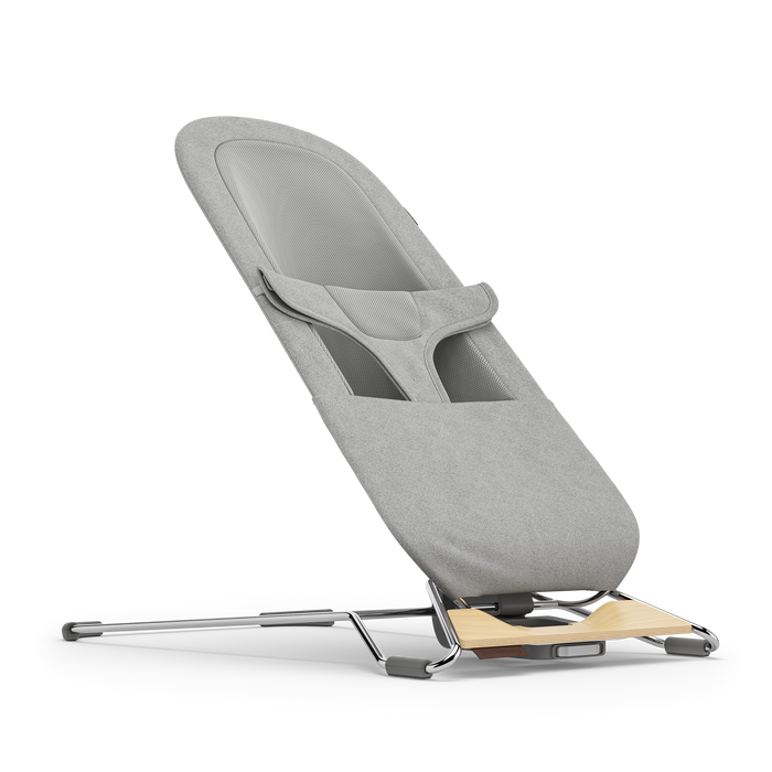 UPPAbaby Mira 2-in-1 Bouncer & Seat