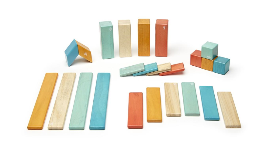 Tegu 14 Piece Magnetic Wooden Block Set