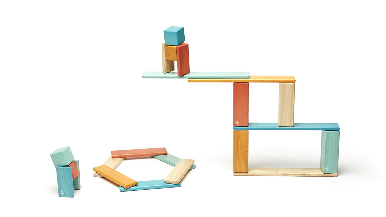 Tegu 24 Piece Magnetic Wooden Block Set