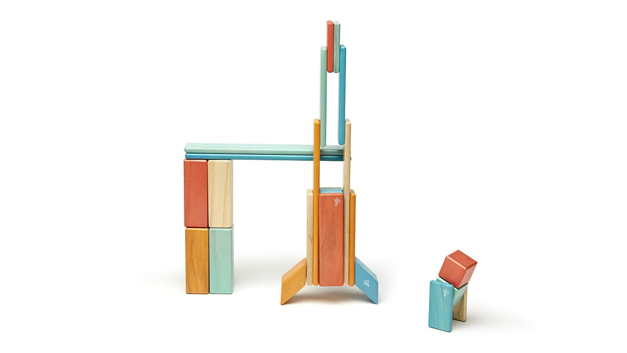 Tegu 24 Piece Magnetic Wooden Block Set