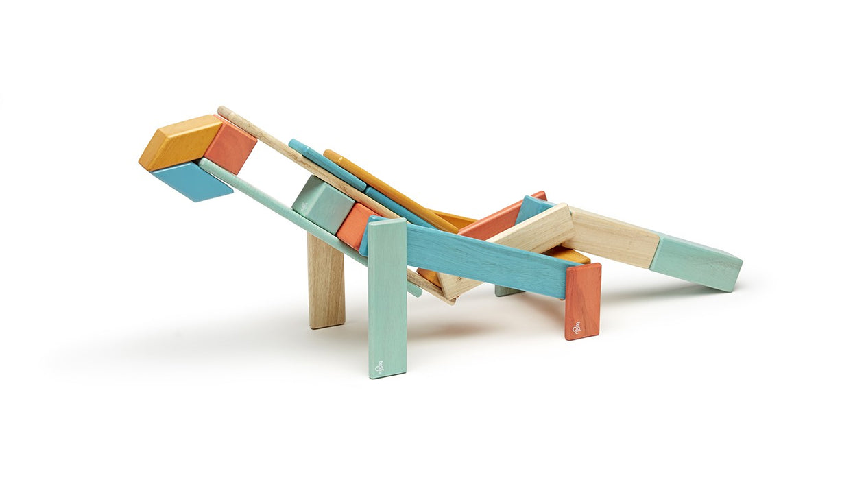 Tegu 24 Piece Magnetic Wooden Block Set