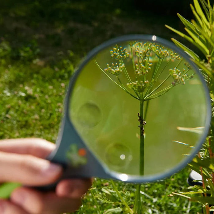 HABA Terra Kids Large Magnifying Glass