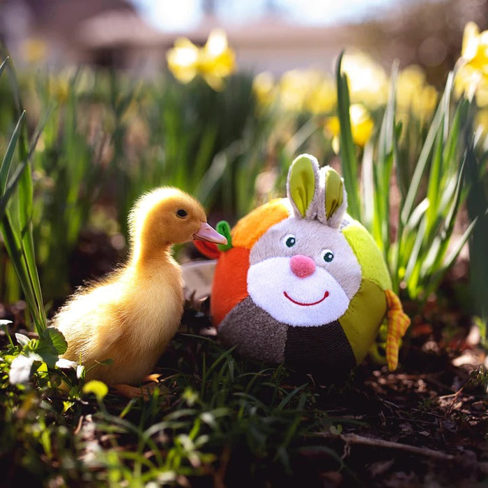 HABA Soft Bunny Ball