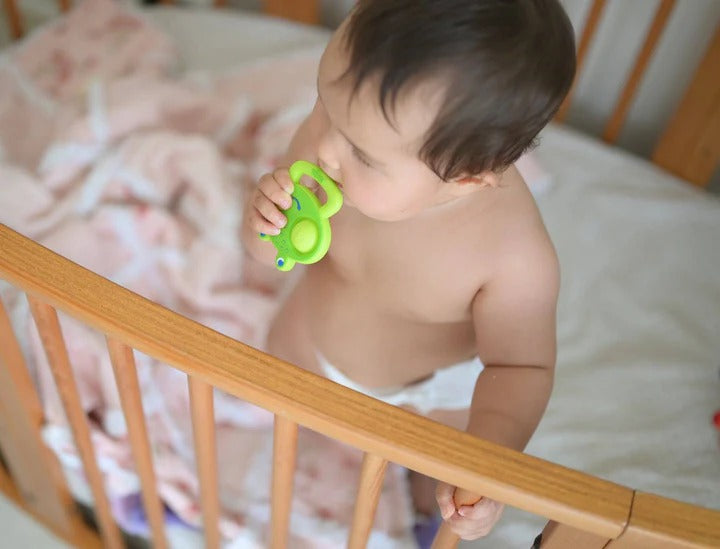 HABA Frog Popping Clutching Toy