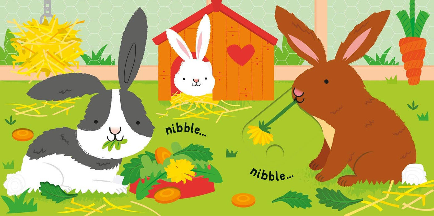 Slide And See Pets: Fiona Watt & Stella Baggott