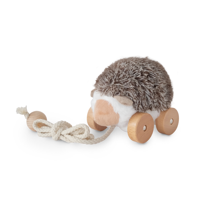 Hedgie // Pull-along toys