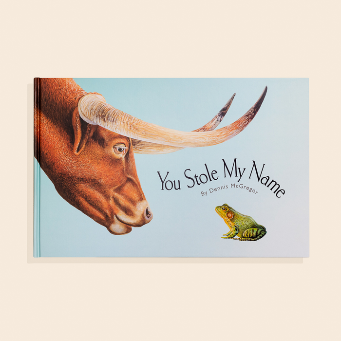 You Stole My Name (Picture Book for Kids)