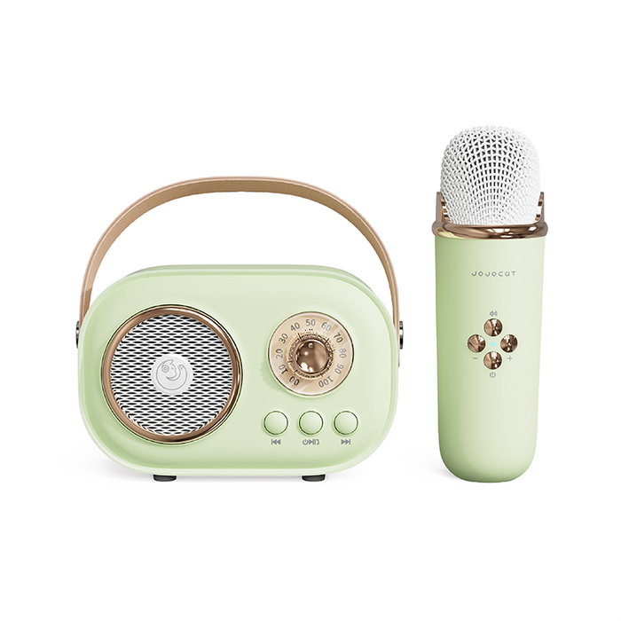 Mini Karaoke Set