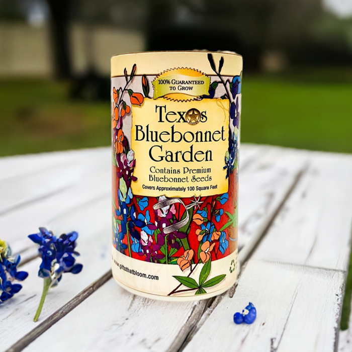 Texas  Bluebonnet Shaker Garden