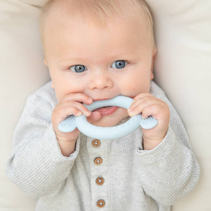 Dog Rattle Buddy