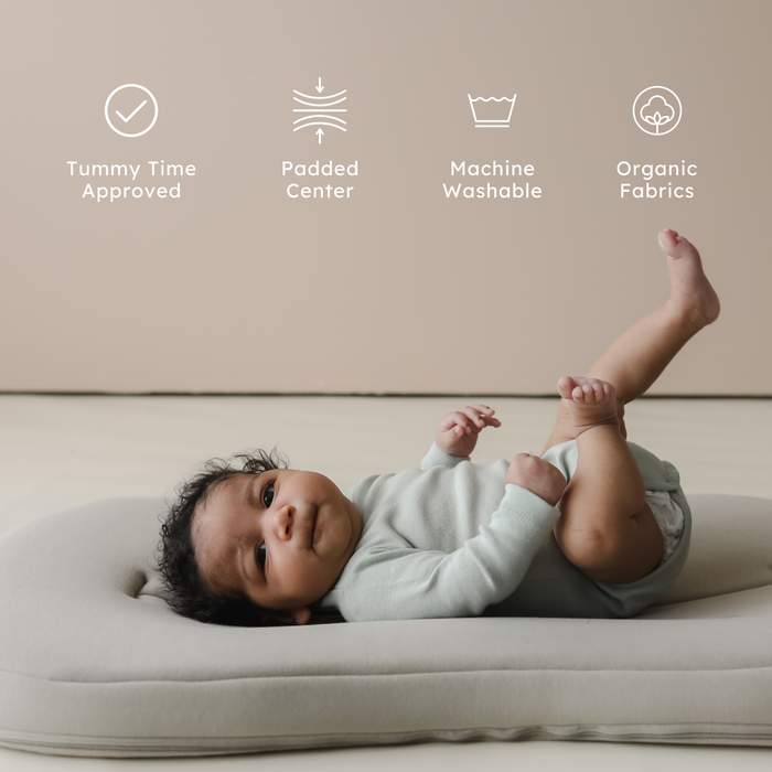 Lounger Curve | Birch