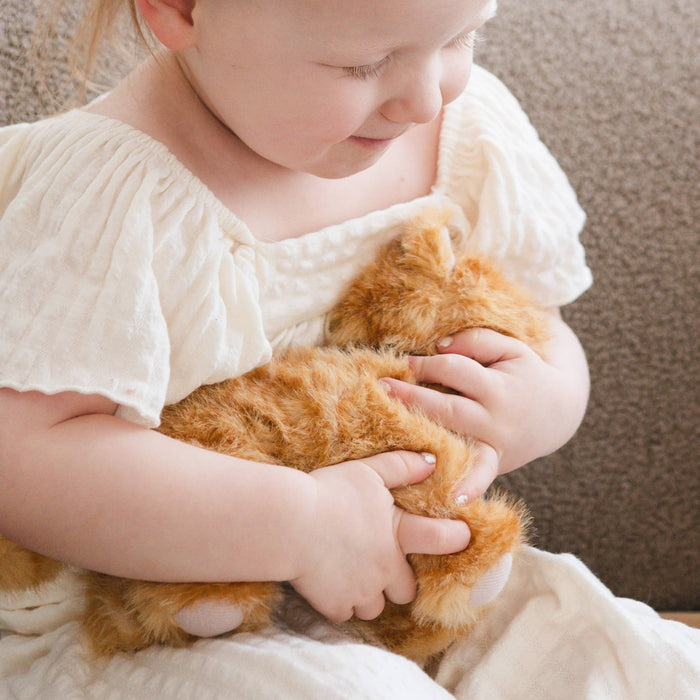 Munchkin & House // Cat // Pretend play set // Best-selling