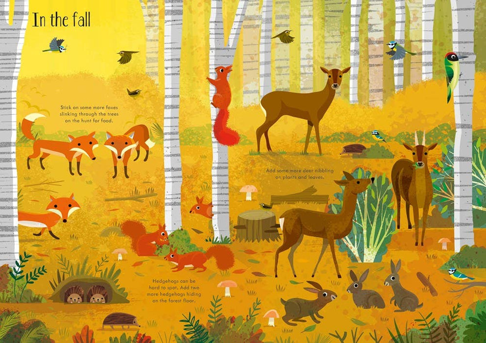 Little First Stickers In The Forest : Usborne