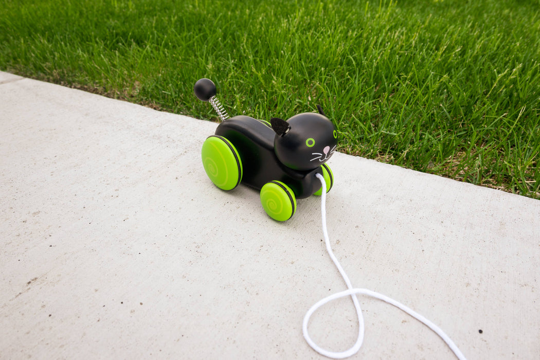 Jack Rabbit Creations Whiskers the Cat Pull Toy