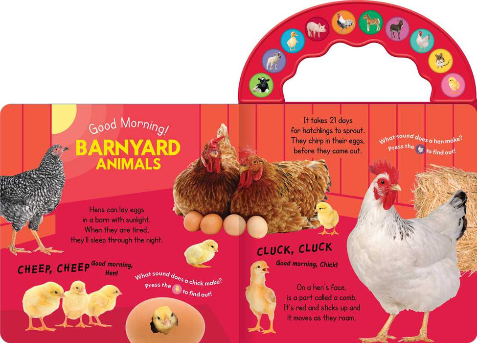 Good Morning! On the Farm by