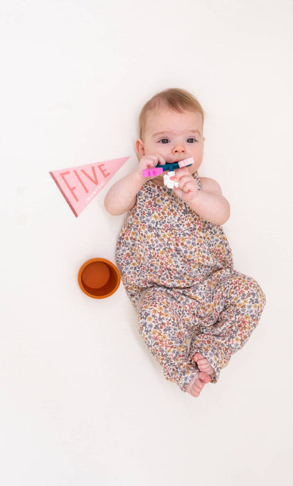 Blushing Meadow Petit Milestone Pennant