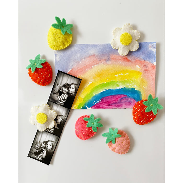 Fair Play Projects Felt Strawberry Magnets Kit