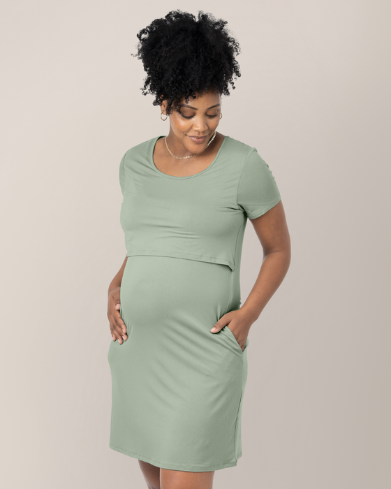 Kindred Bravely Eleanora Bamboo Maternity & Nursing Dress
