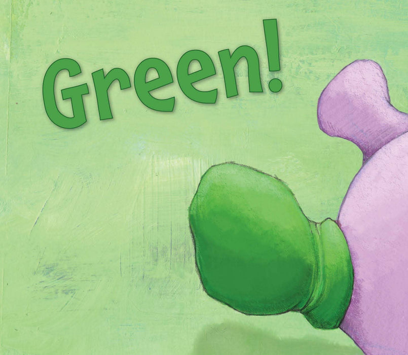 One Red Sock Board Book with Flocked Cover