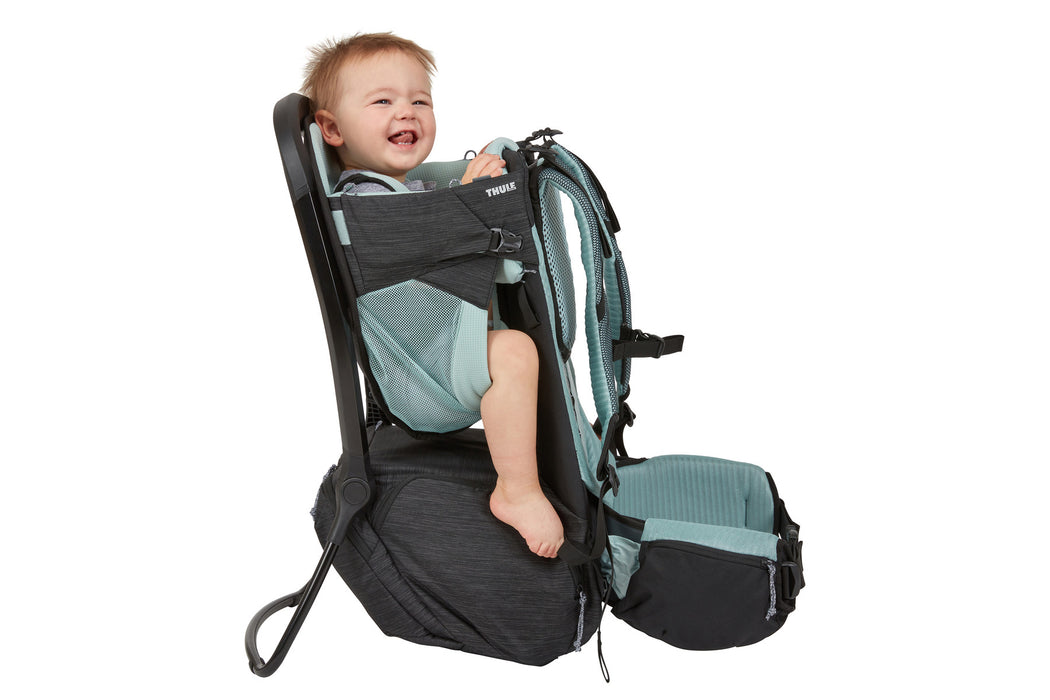 Thule Sapling Child Carrier