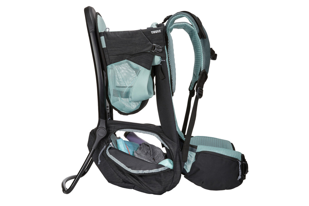 Thule Sapling Child Carrier