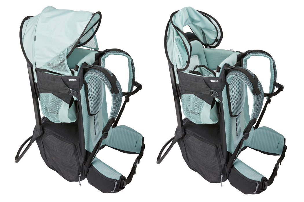 Thule Sapling Child Carrier