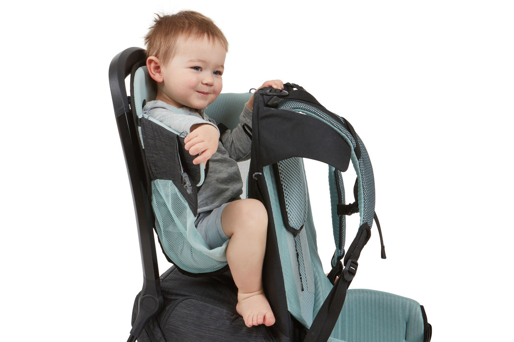 Thule Sapling Child Carrier