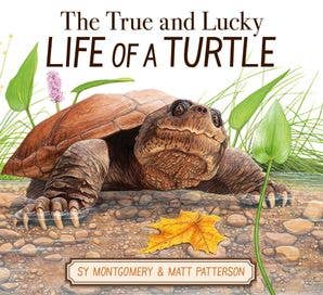 The True and Lucky Life of a Turtle : Sy Montgomery