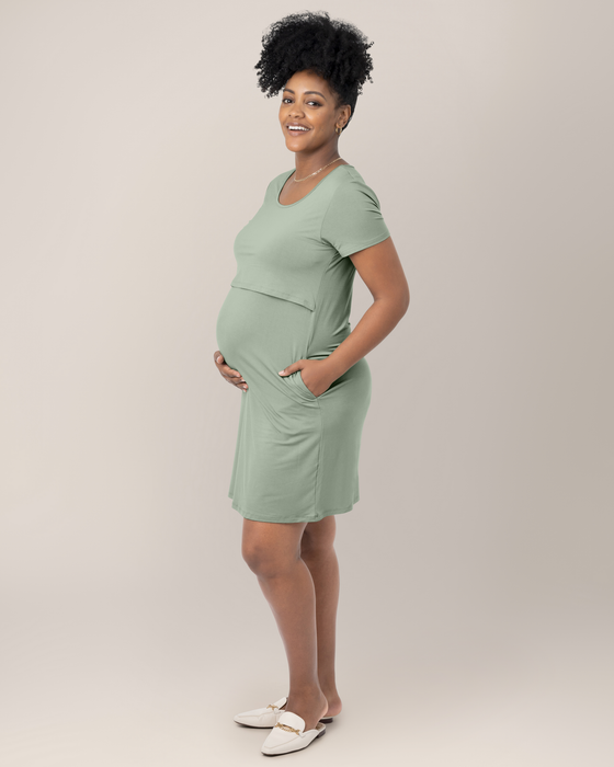 Kindred Bravely Eleanora Bamboo Maternity & Nursing Dress
