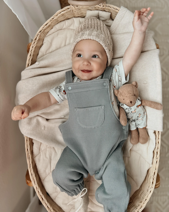 Little Bear in Horses Pattern Overall