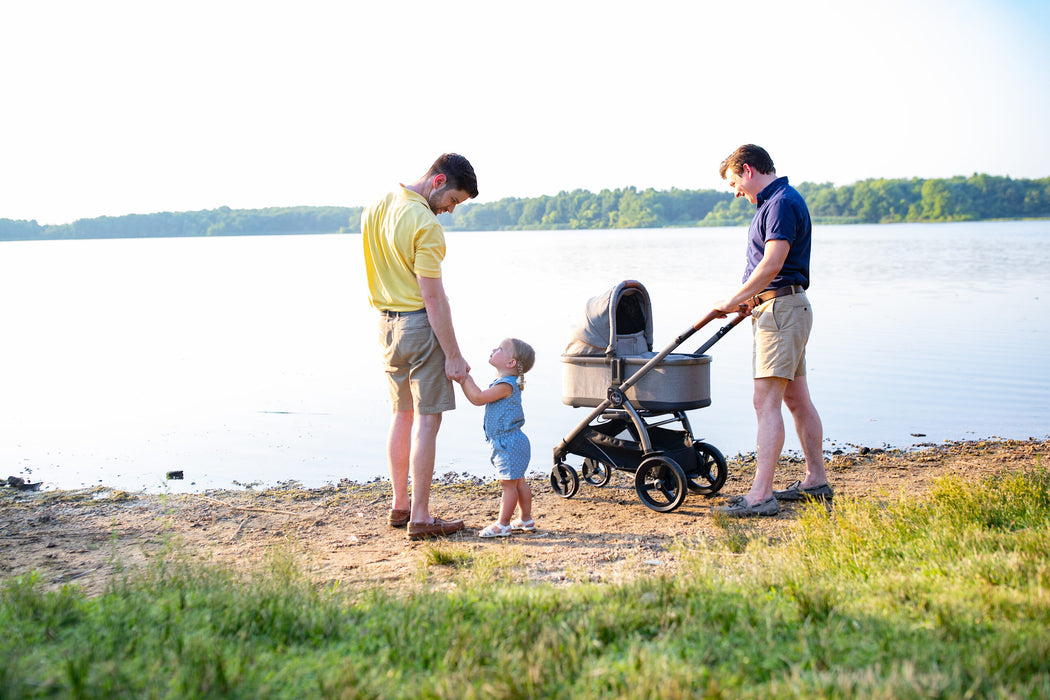 Peg-Perego Agio Z4 Bassinet with Home Stand