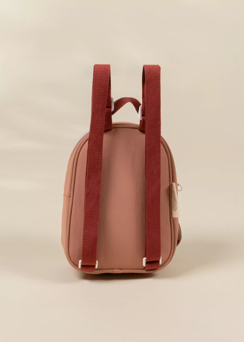 Coco Village Washable Nylon Small Backpack  | Blushfield