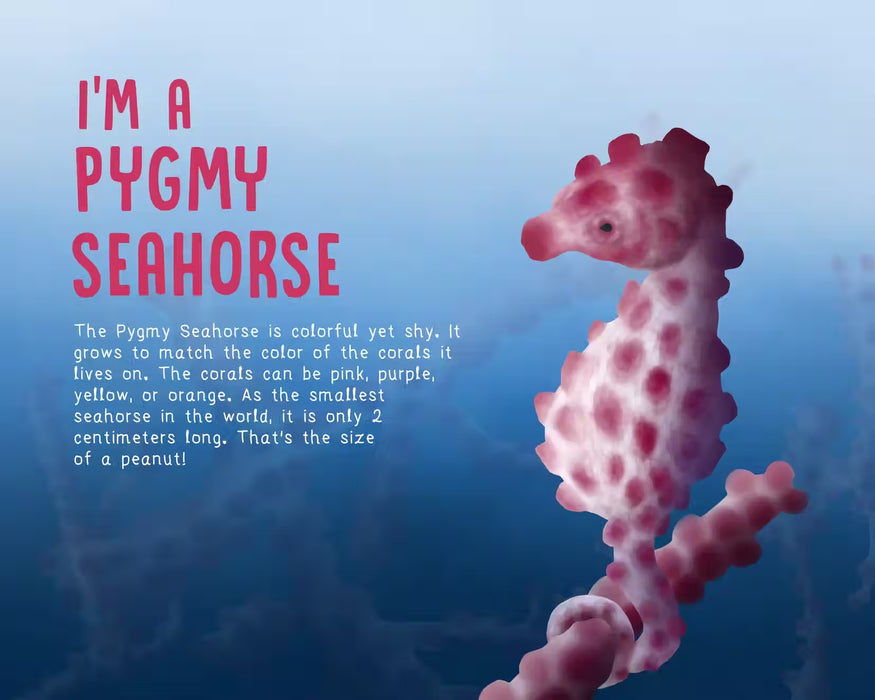 Can You SEA Me? A Children's Guide to Camouflage in the Ocean - Hardcover