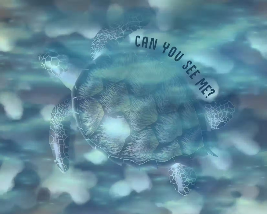Can You SEA Me? A Children's Guide to Camouflage in the Ocean - Hardcover