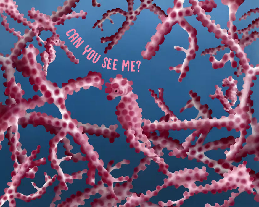 Can You SEA Me? A Children's Guide to Camouflage in the Ocean - Hardcover