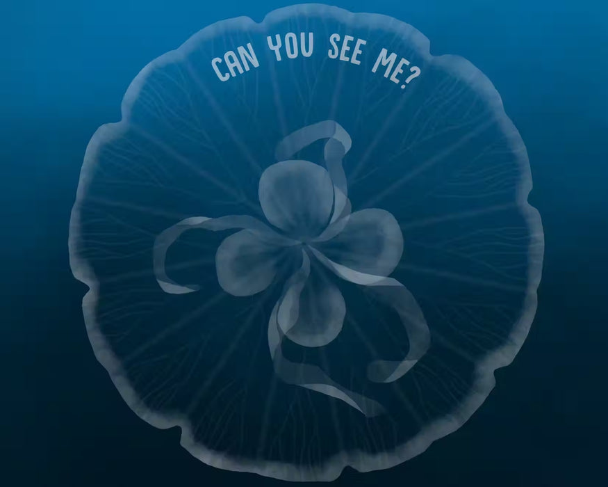 Can You SEA Me? A Children's Guide to Camouflage in the Ocean - Hardcover