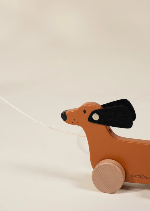 Coco Village Dog Pull Toy