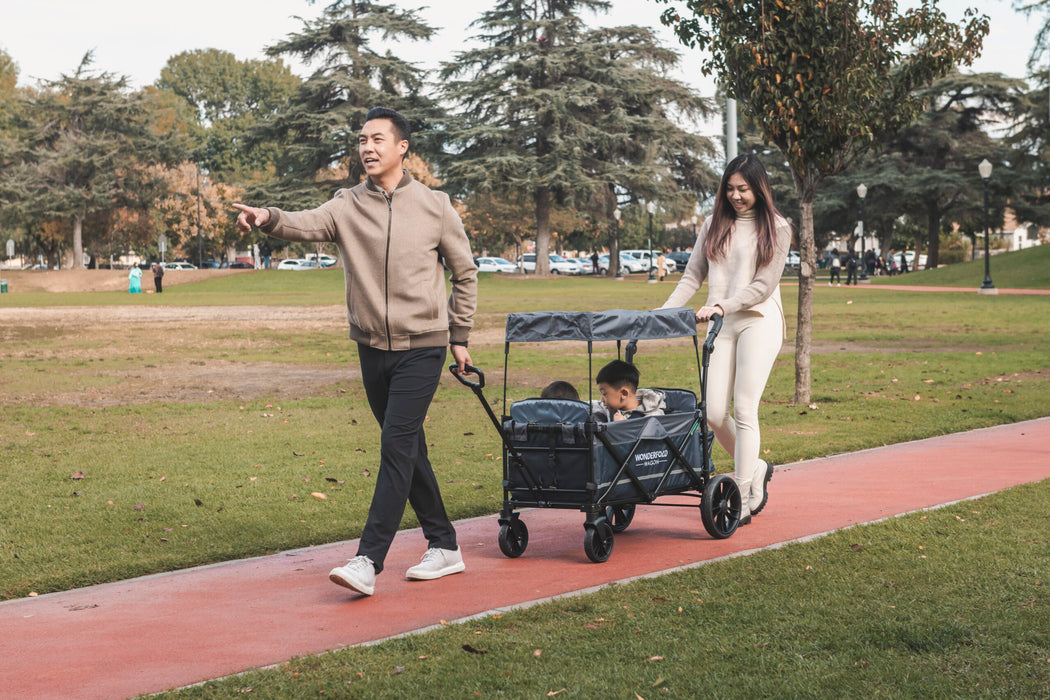 WonderFold X2M Push + Pull Double Stroller Wagon