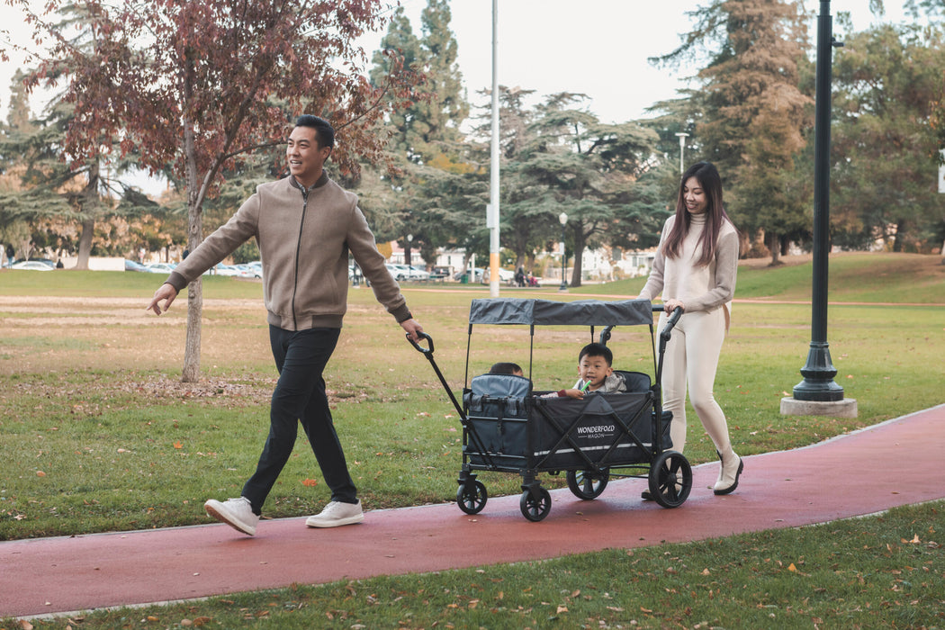 WonderFold X2M Push + Pull Double Stroller Wagon