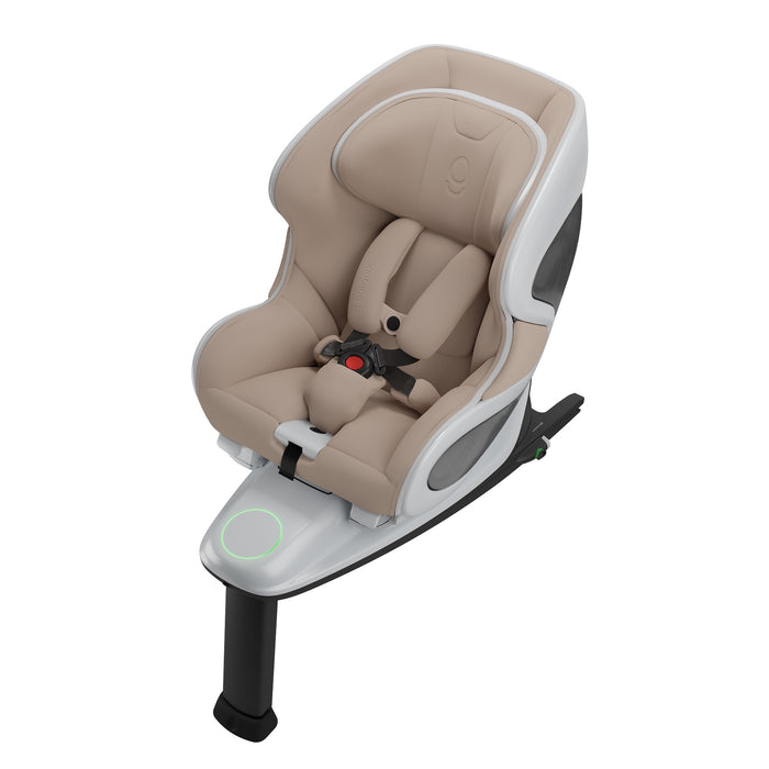 Babyark The Convertible Car Seat