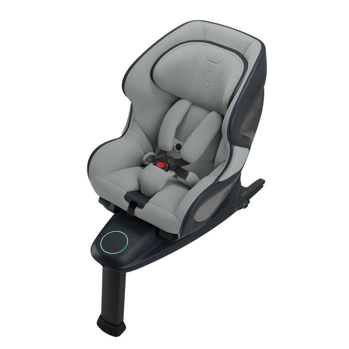 Babyark The Convertible Car Seat