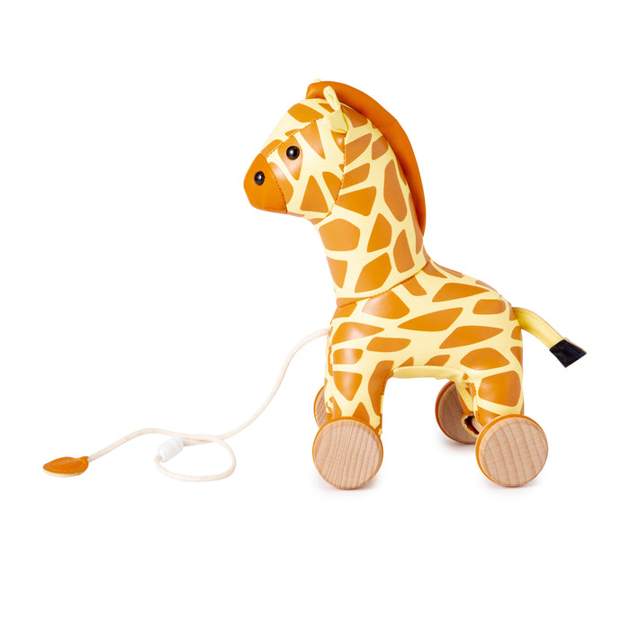 Little Big Friends Pull Along