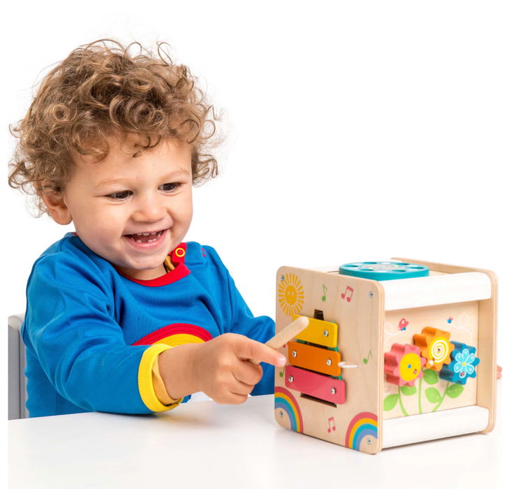 Le Toy Van Petit Activity Cube