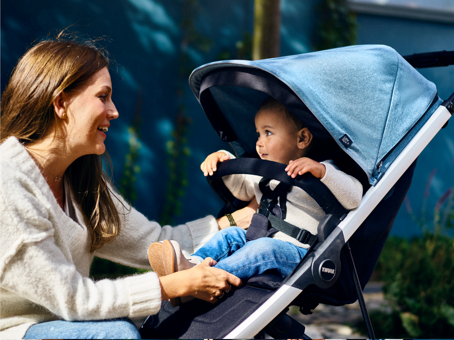 Thule Spring Stroller