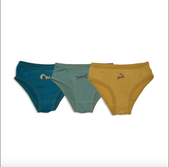 Silkberry Baby Bamboo Bikini Underwear (3 pack) (Deep Ocean/Fall Leaf/West Coast)