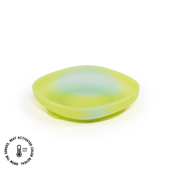 Paperclip Color Changing Suction Plate